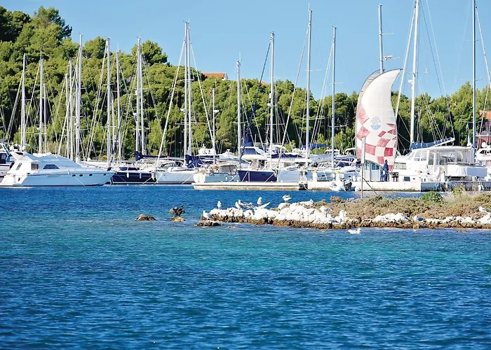 Pet Friendly In Tatil Evi